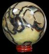 Polished Septarian Sphere - With Stand #43864-1